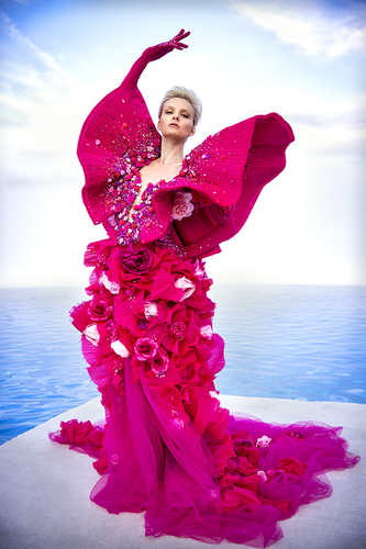 vilena rose dress