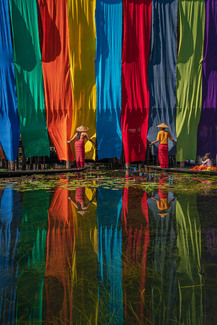Color Awards Winners and Nominees