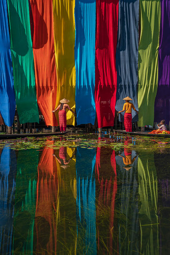 Drying Lotus fabrics