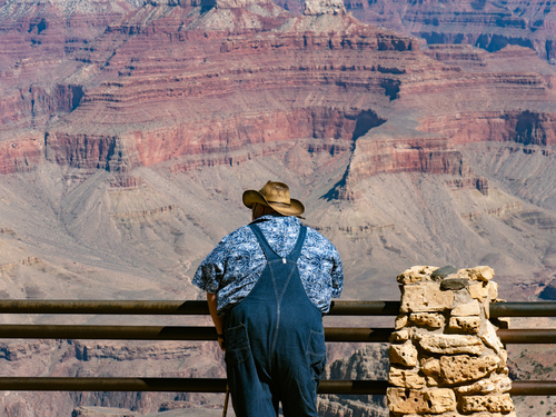 The Wanderer