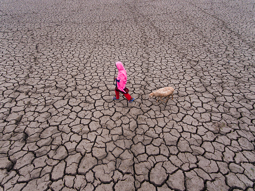 Colors in Drought