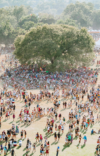 Tree of Life