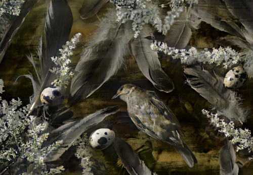 Birds Of A Feather