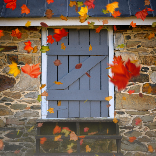 Leaf Sweep