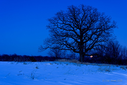 Blue Moon - Minnesota