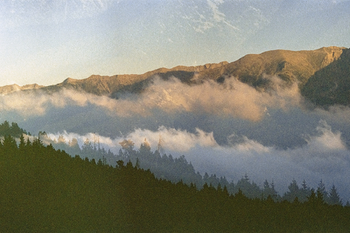 Pyrenees Daydream II