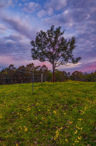 Country Sunset