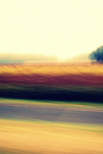 Drive Home from Radiation Treatment