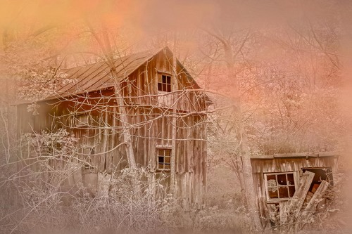 Left Behind
