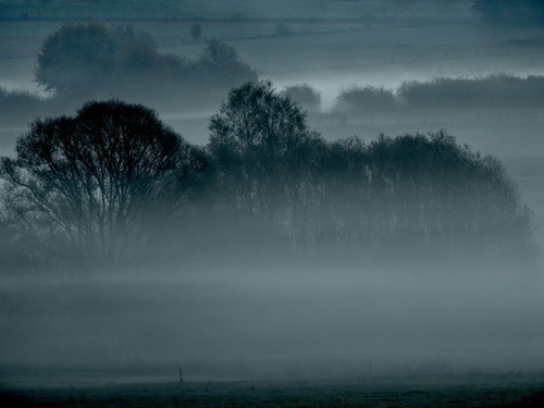 Silence Painted by Dawn