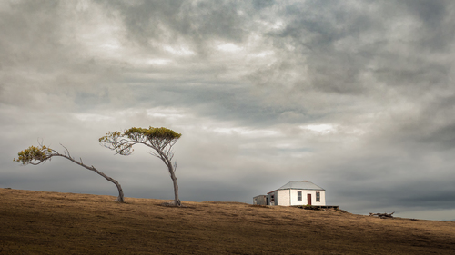 Tasmanian wind