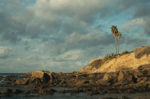 Winter morning on the Pacific coast