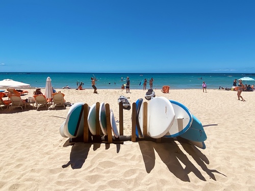 Surf's Up 