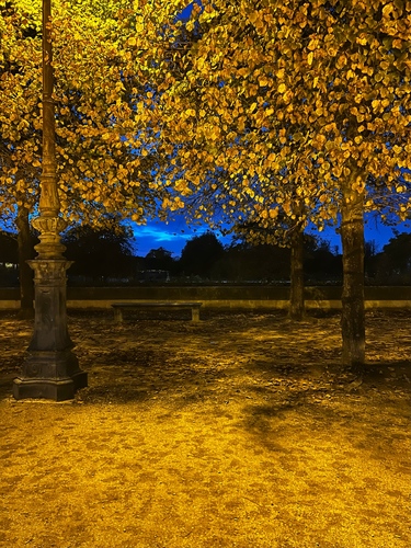 Through Van Gogh's Eyes 