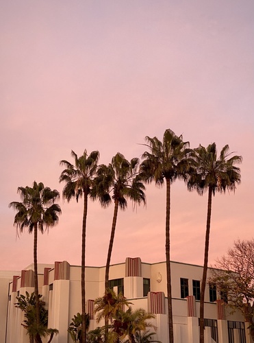 The Magic Hour Series 
