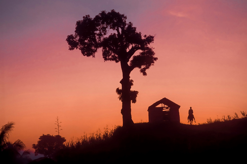 To the Fields at Dawn