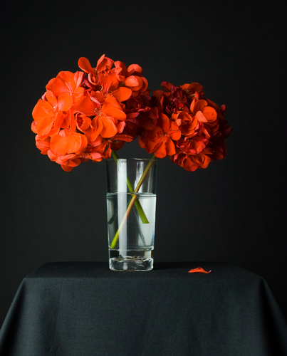 Still Life with Flowers