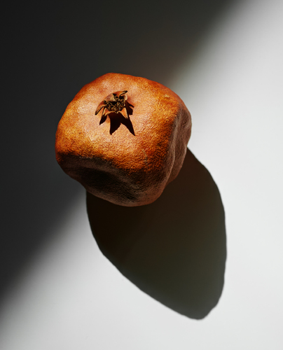 Red's Shadow