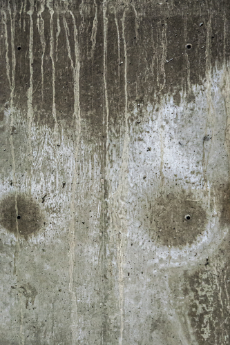 The Wall