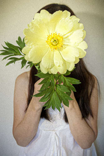The Flower