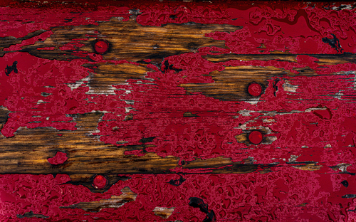 The Red Bench