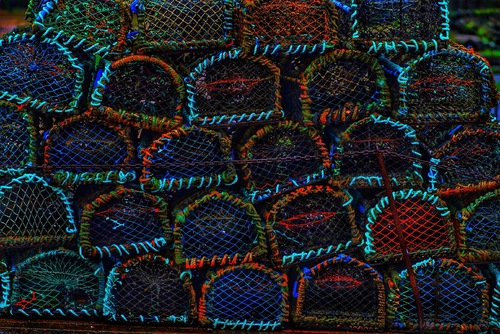 Woven Snares