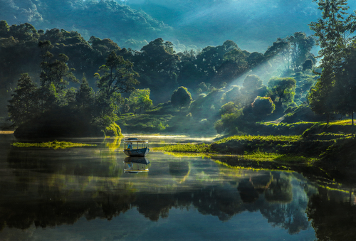 Morning View in Situ Patenggang