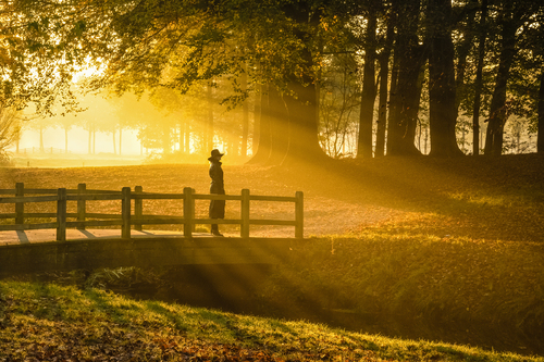 Dutch landscape at sunrise ORANGE