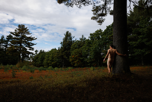 Barrens