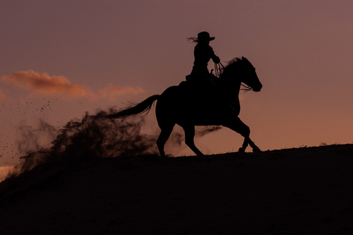 Kicking up the dust