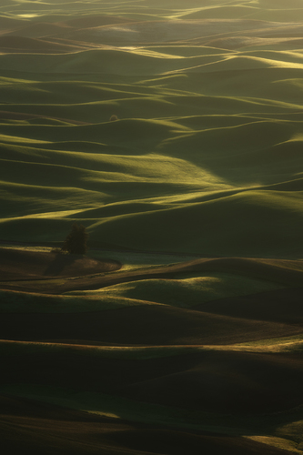 Silent Waves