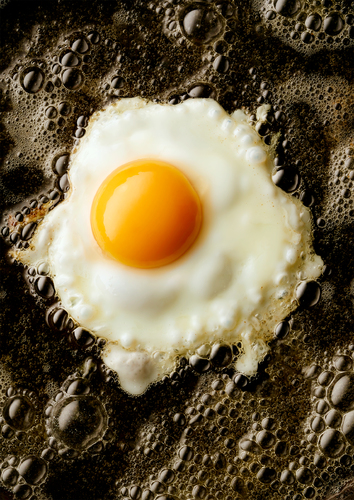 Fried Egg