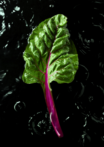 Chard