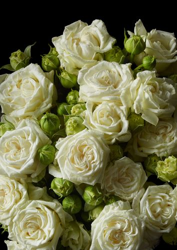Flowers 4