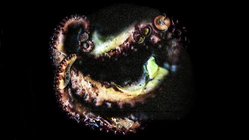Ectogenesis #1