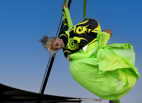 Fly