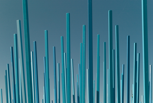 La Foret Bleue