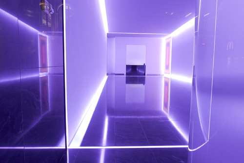 Violet Vibrations