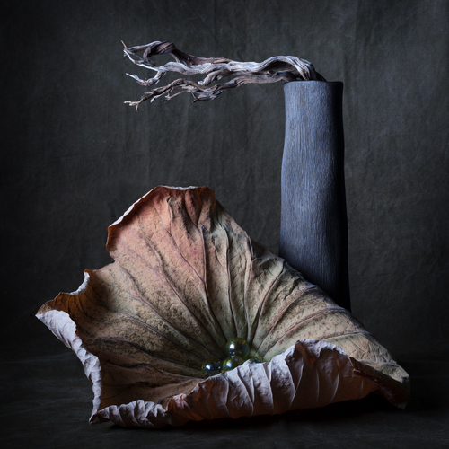 Lotus Leaf