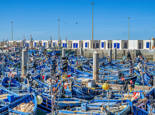 Blue Boats, Blue Doors