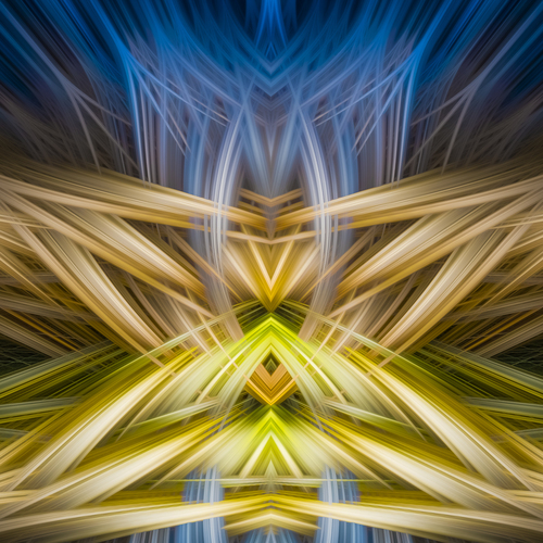 Ion Vortex