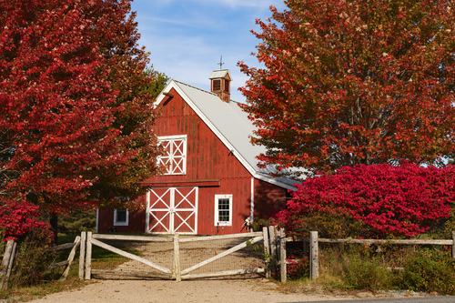 Bartlett's Landing