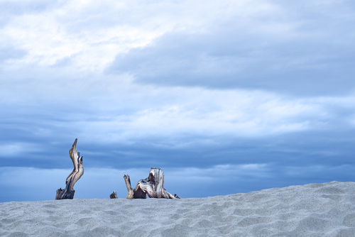 Mesquite Dunes