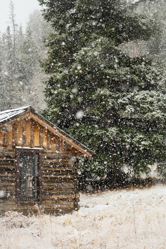 First Snowfall