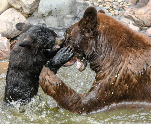 Splashing with Momma