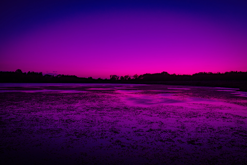 Cyber Sunset