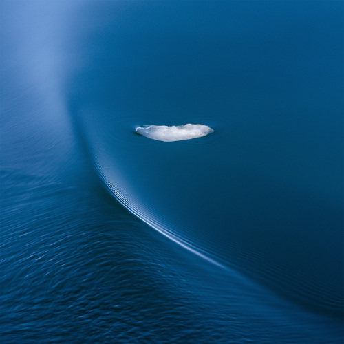 Arctic blues II