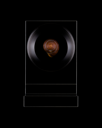 the frame