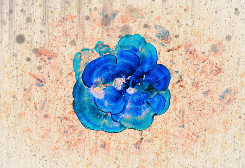 Natural Indigo