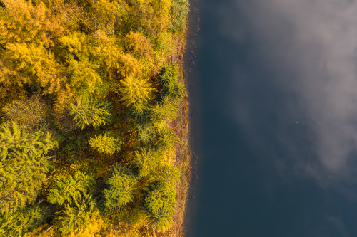 Between land and water